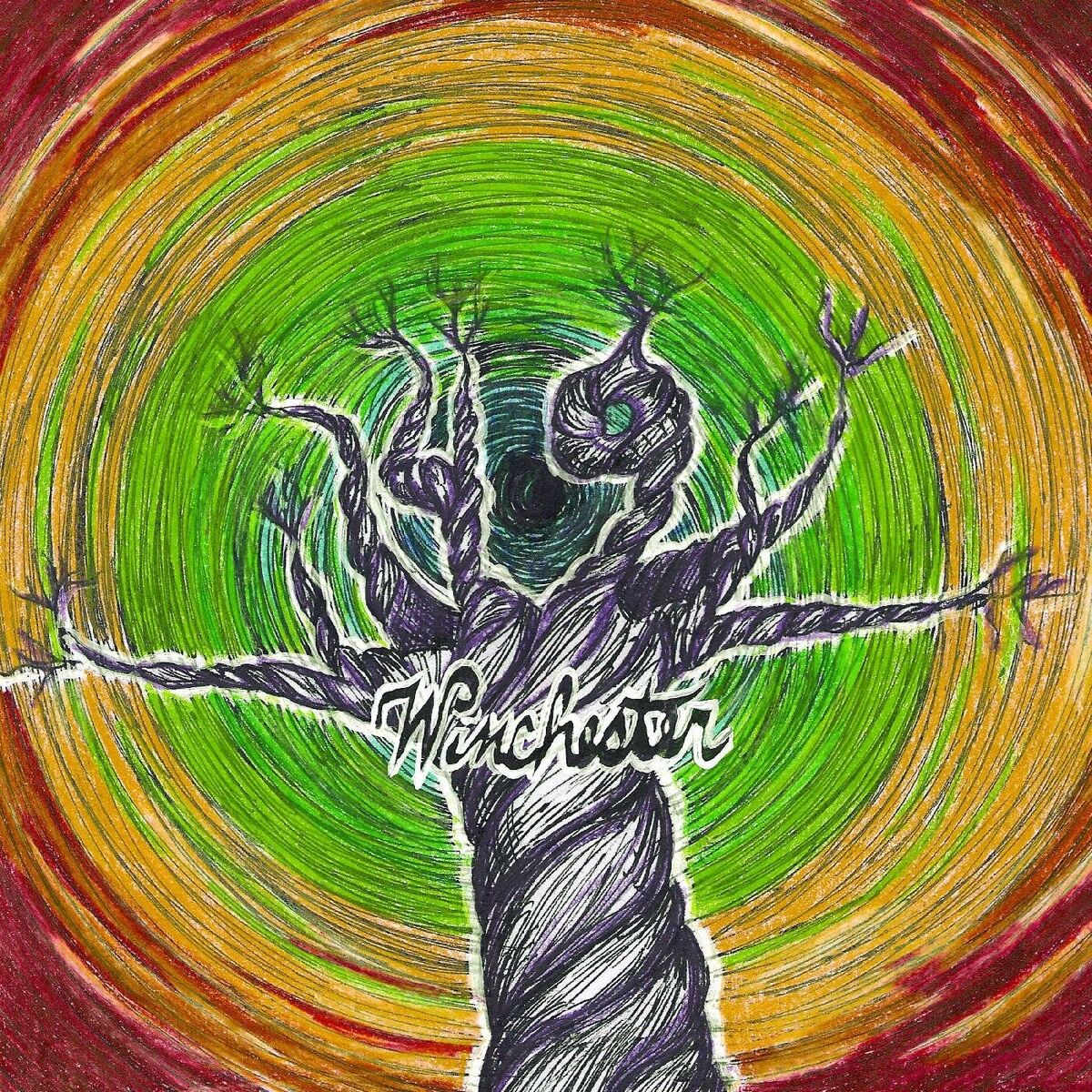 Album cover of 49 Winchester