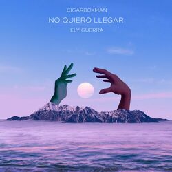 Cover of No Quiero Llegar