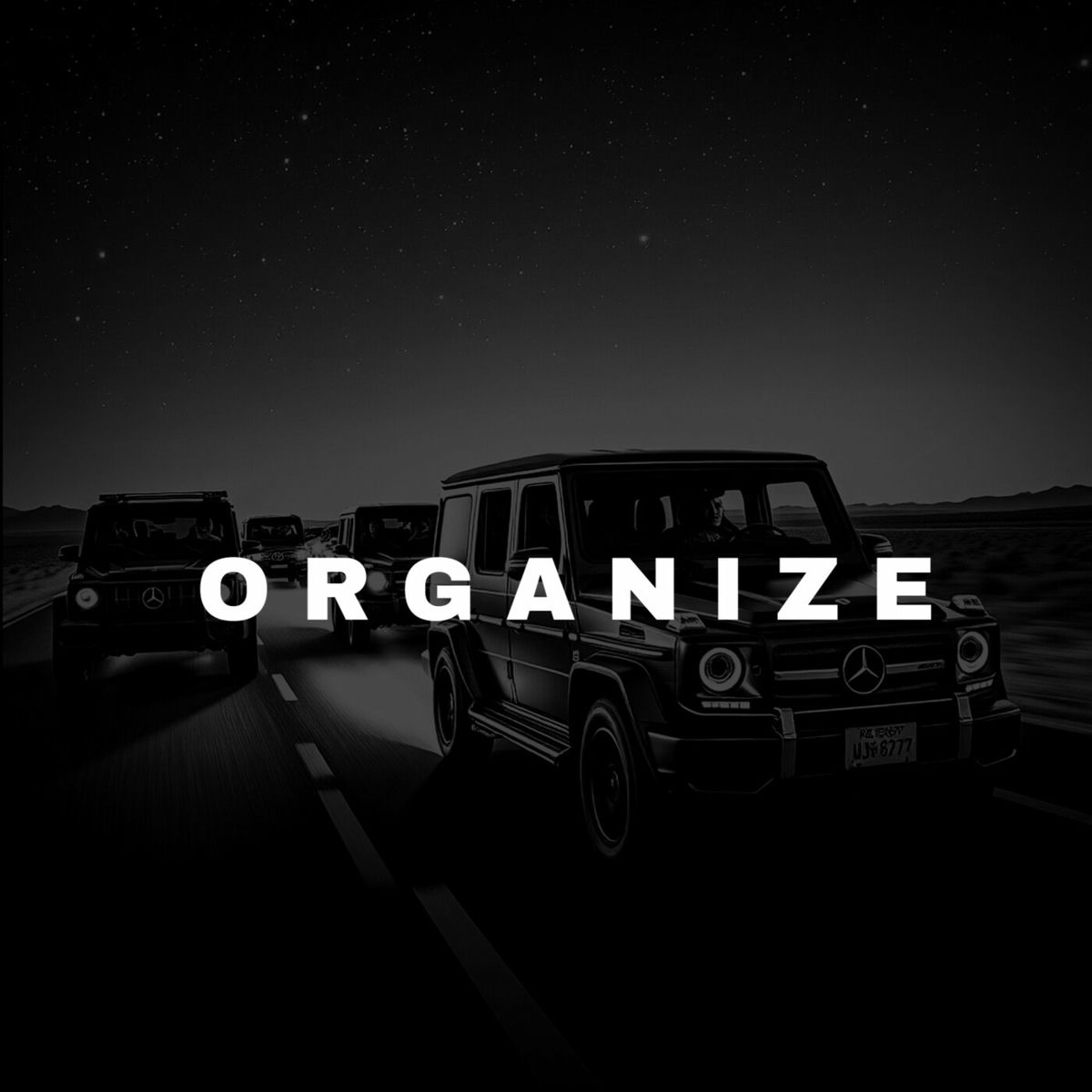 Album cover of Organize