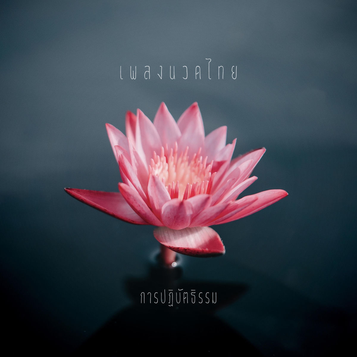 Album cover of รอยเท้าผ่านสยาม