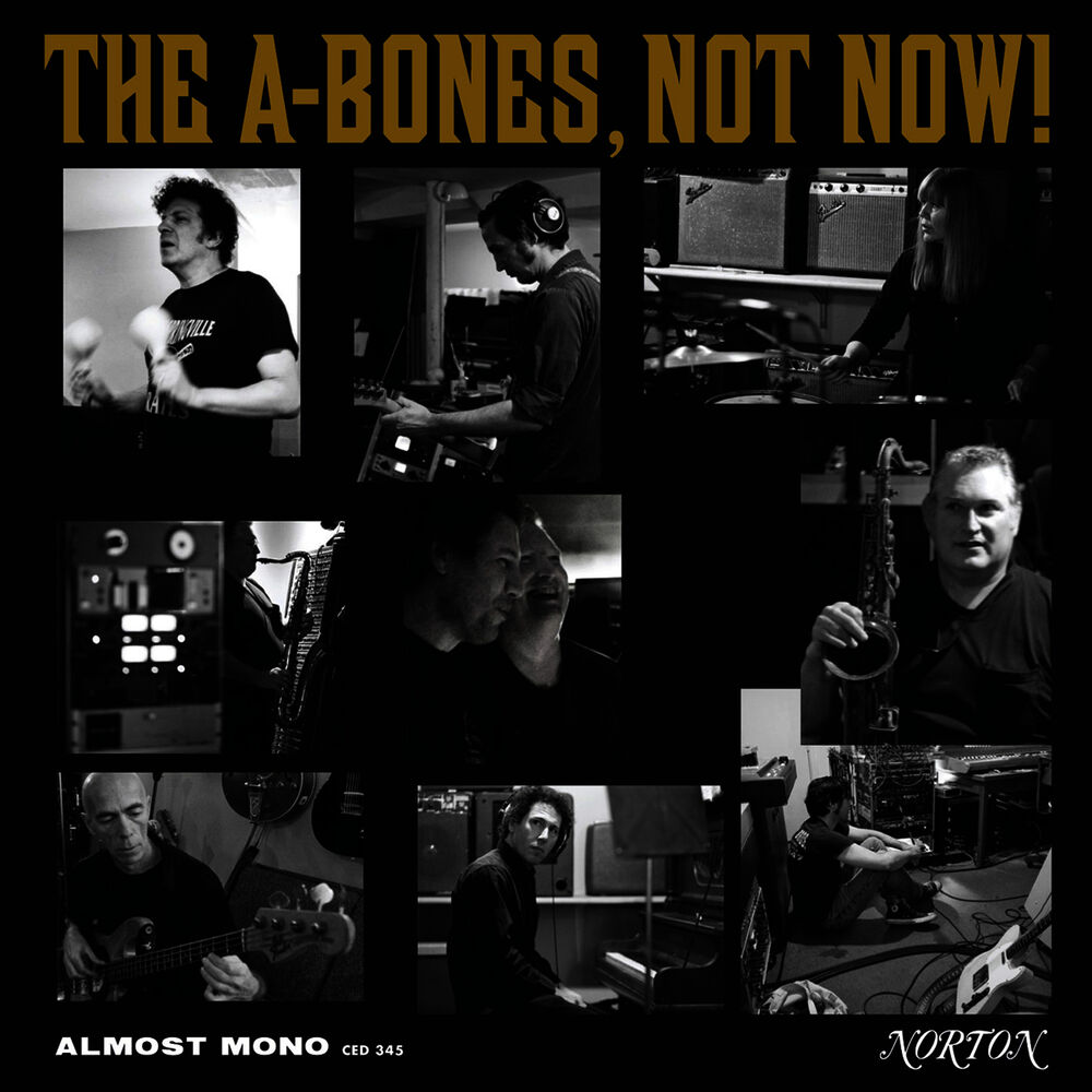 Picture of Not Now!