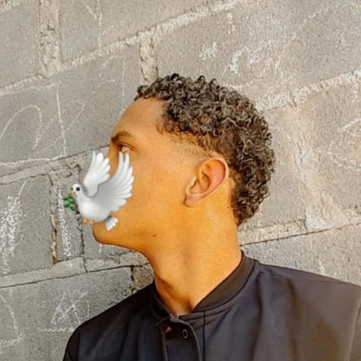 Album cover of Parodia Da Poesia Acústica