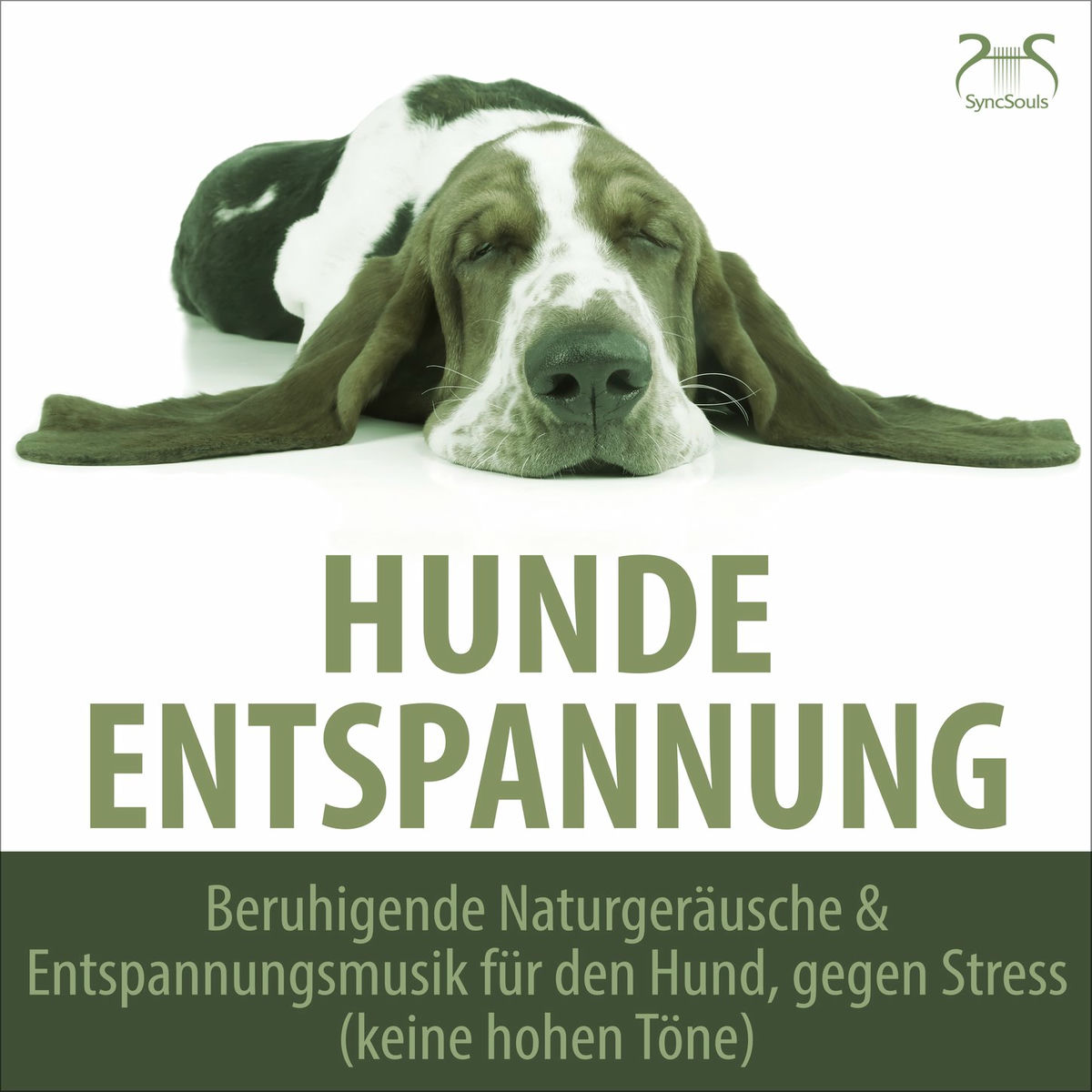 Album cover of Entspannung für Hunde - Spülmaschinengeräusch & sanfte Piano Klänge, zur Ruhe Kommen, keine Hohen Frequenzen über 16 kHz