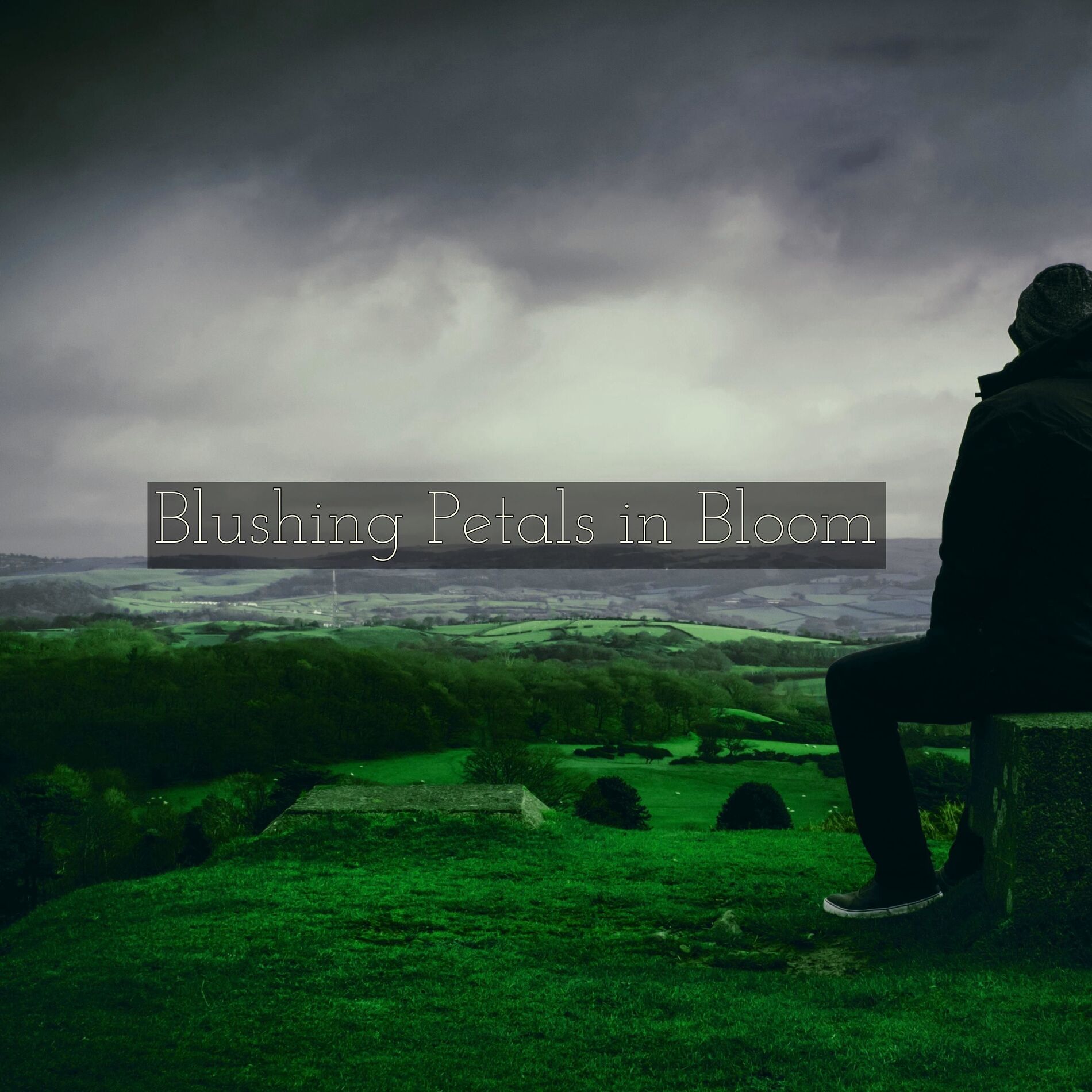 Album cover of Blushing Petals in Bloom
