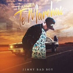 Cover of Y Ahora Te Marchas