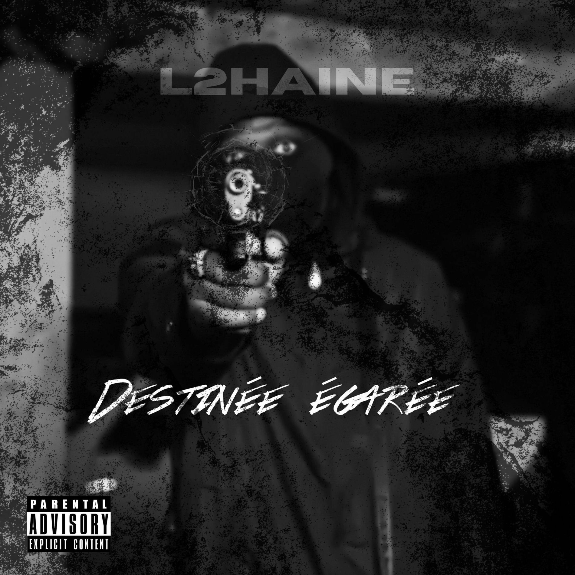 Album cover of Destinée Égarée