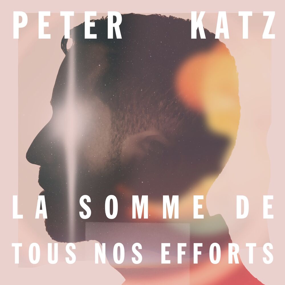Picture of La somme de tous nos efforts