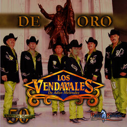 Cover of De Oro - 50 Anos De Musica