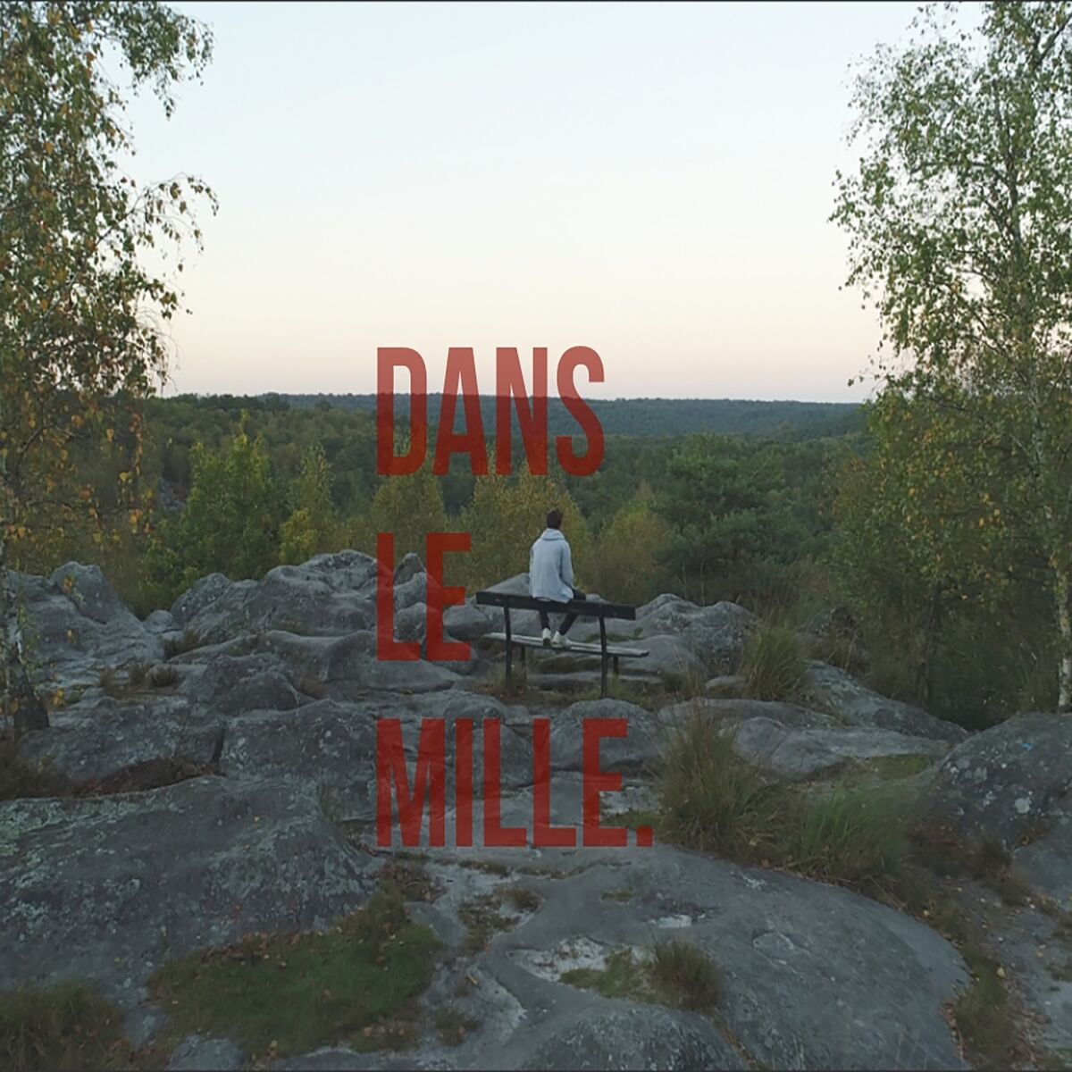 Album cover of Dans le mille