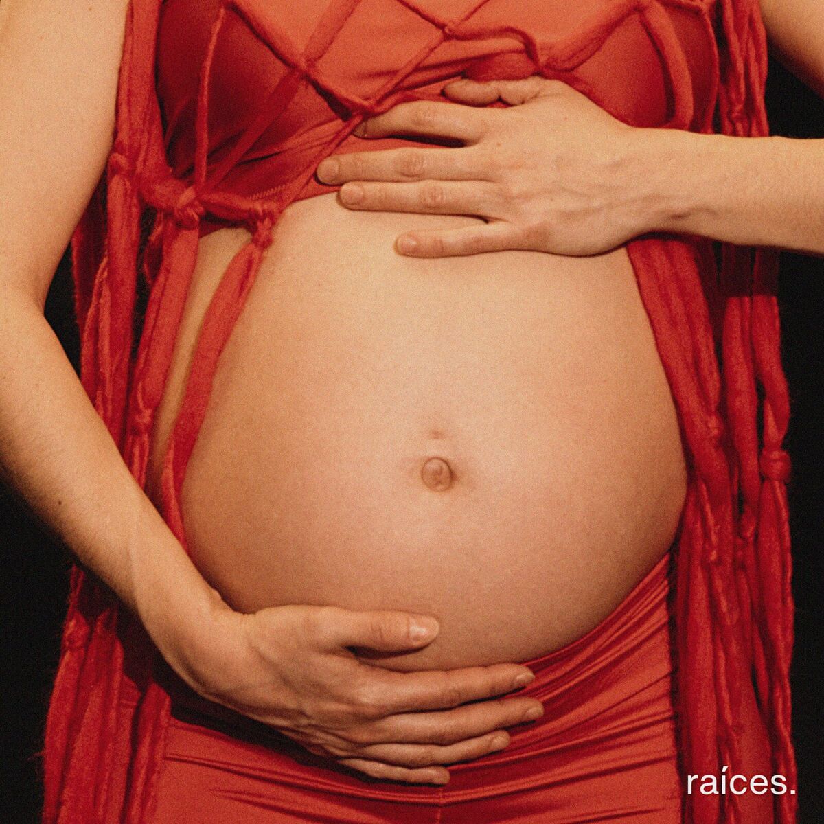 Album cover of Raíces