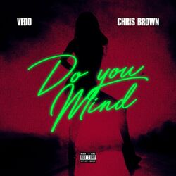 Cover of Do You Mind