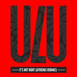 Cover of It's Not Right (&friends Remake) (Radio Edit)