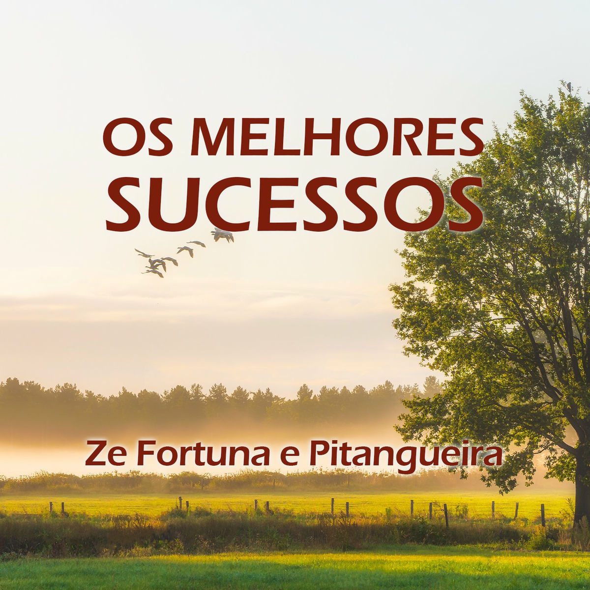 Album cover of Os Melhores Sucessos