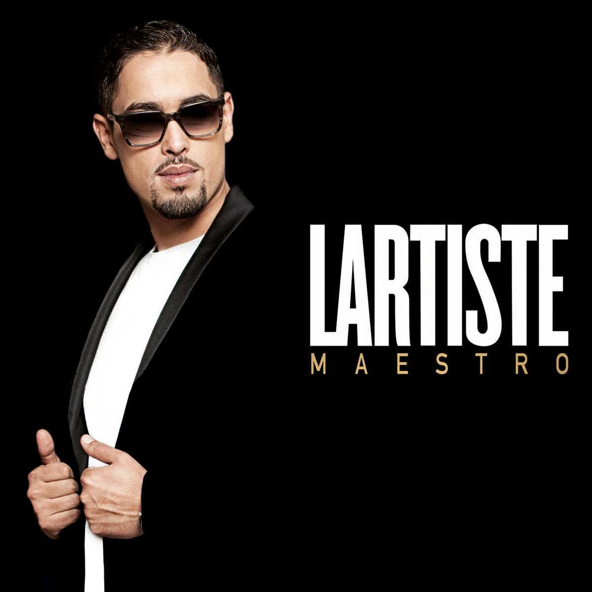 Album cover of Maestro