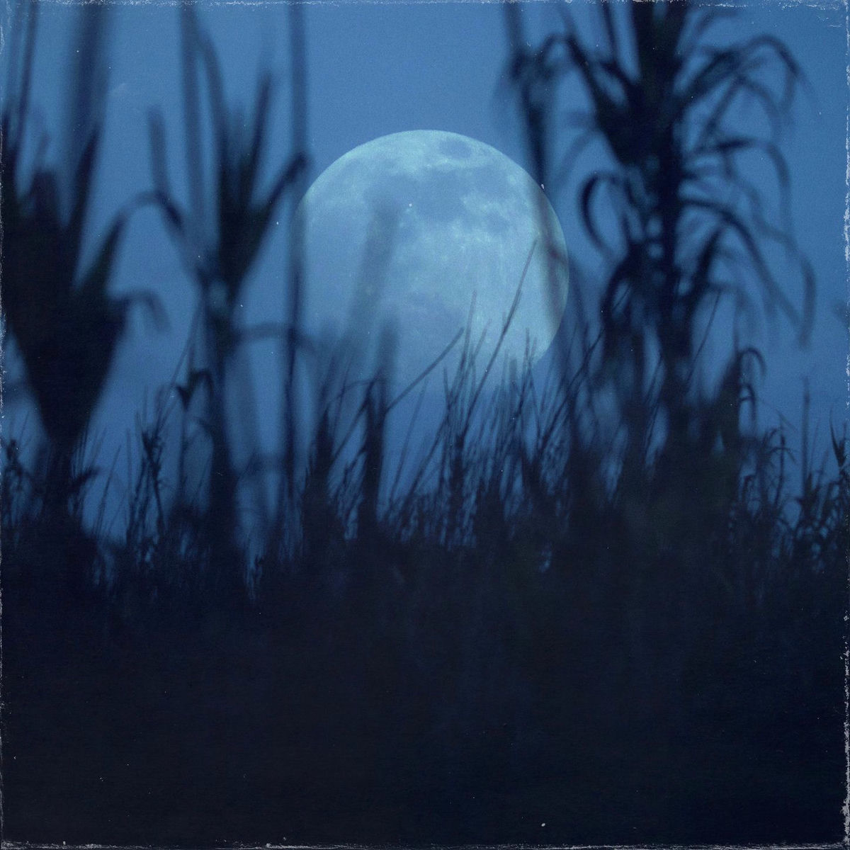 Album cover of Everything Change