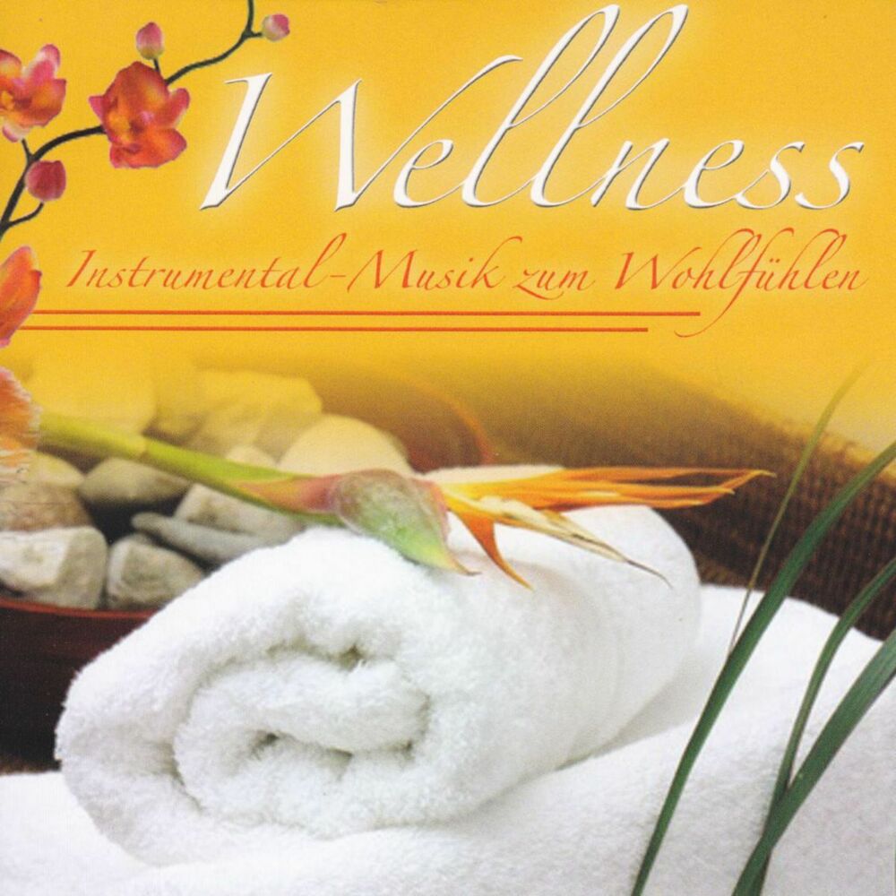 Picture of Wellness - Instrumental-Musik zum Wohlfühlen, Vol. 1