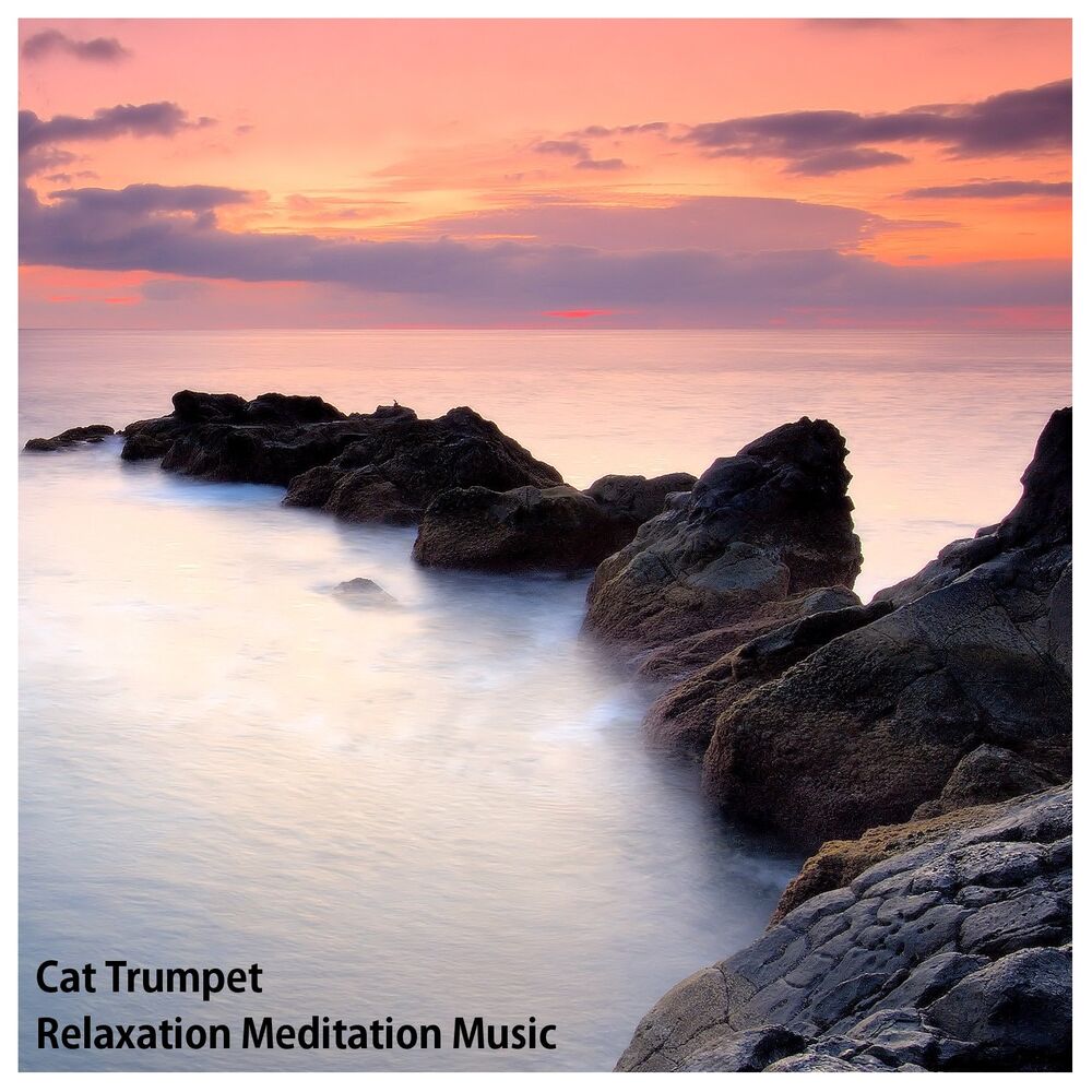 Picture of Relaxation Meditation Music
