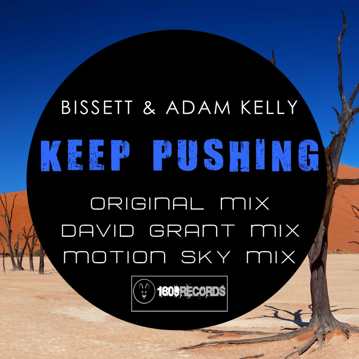 Album cover of Keep Pushing