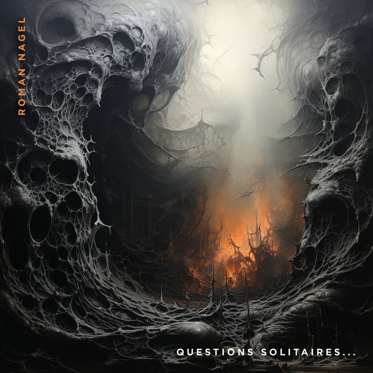 Album cover of Questions solitaires...