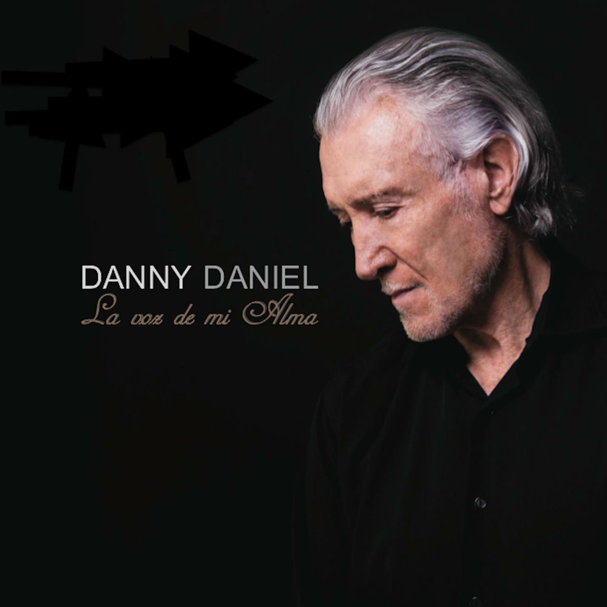 Album cover of La Voz de Mi Alma