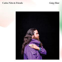 Cover of Going Home
