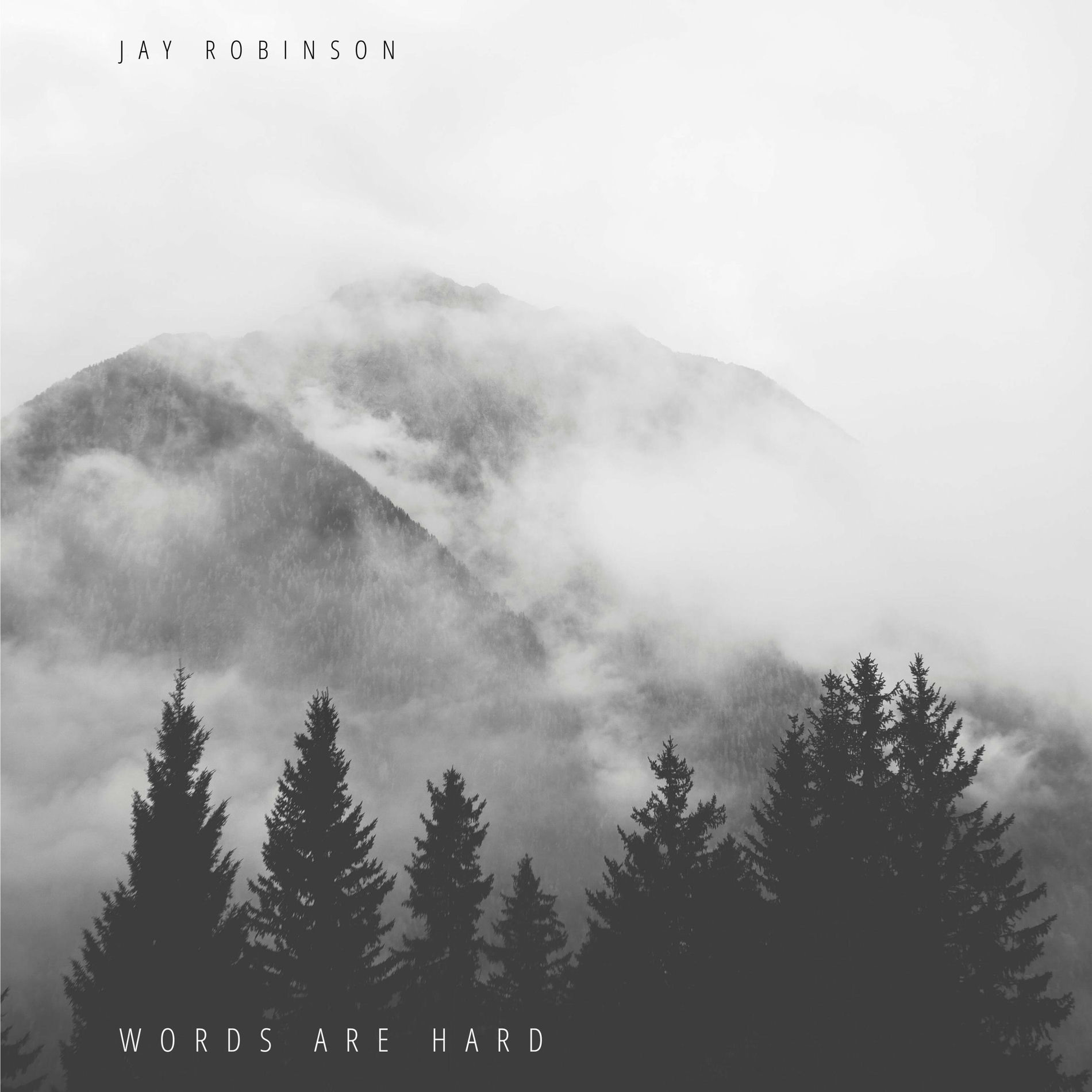 Album cover of Words Are Hard
