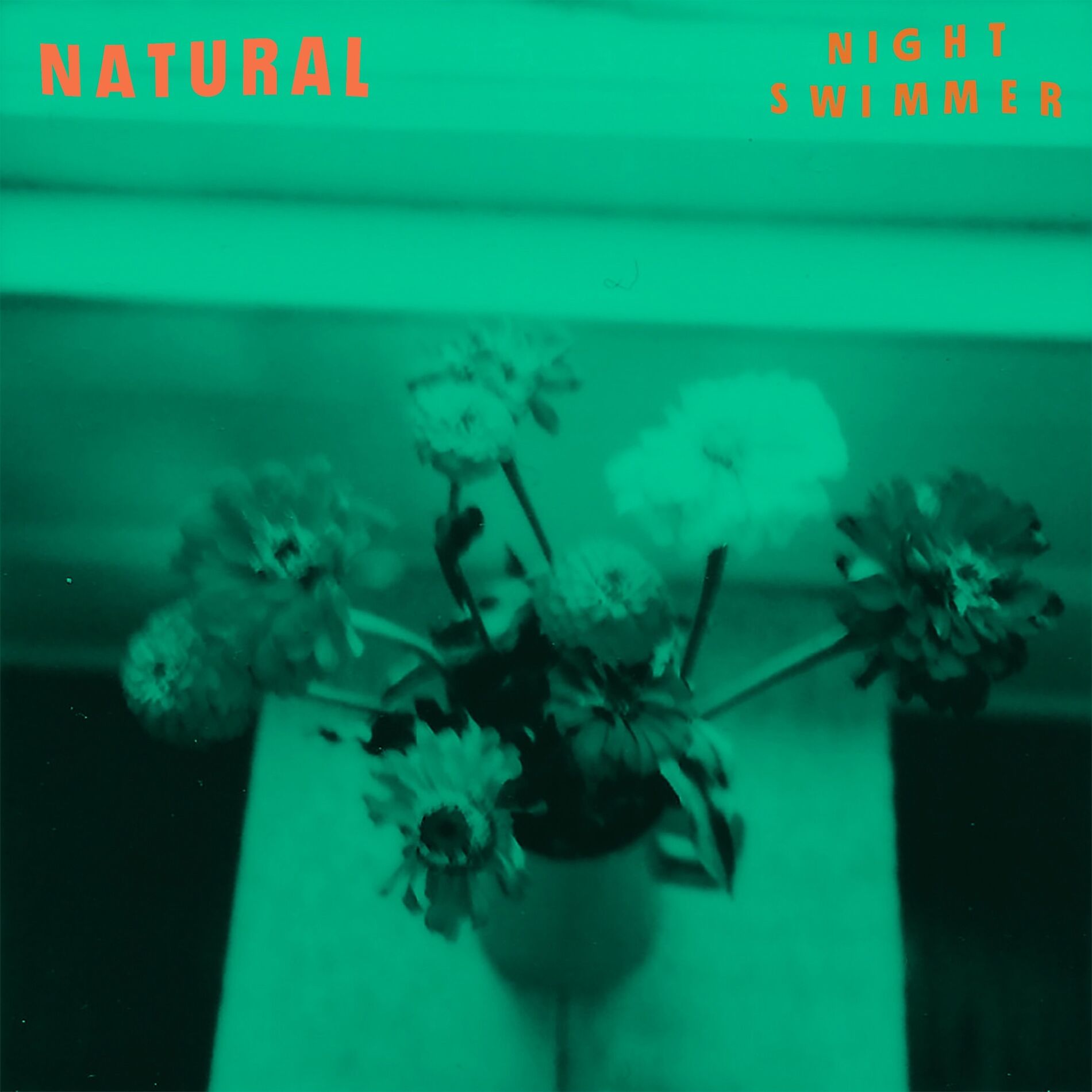 Album cover of Natural
