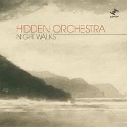 Cover of Night Walks