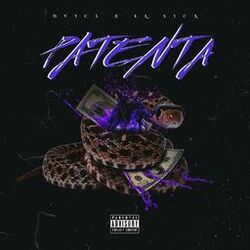 Cover of Patenta