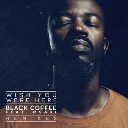 Cover of Wish You Were Here (feat. Msaki) (Remixes)