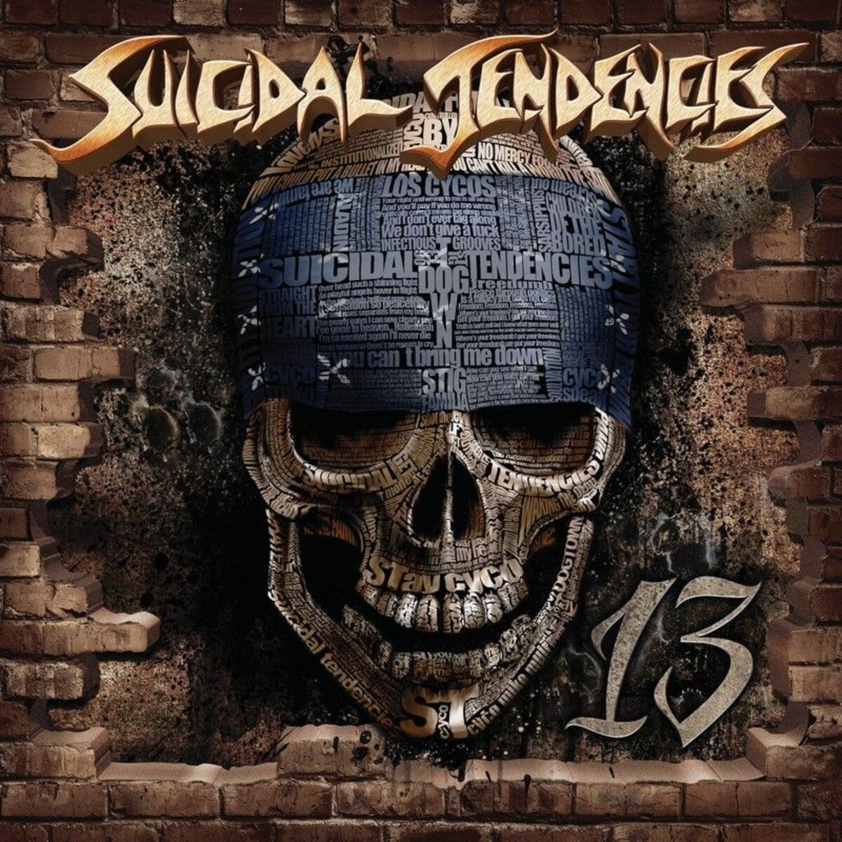 Album cover of 13