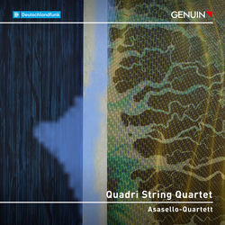 Cover of Quadri: String Quartet in D Major by undefined