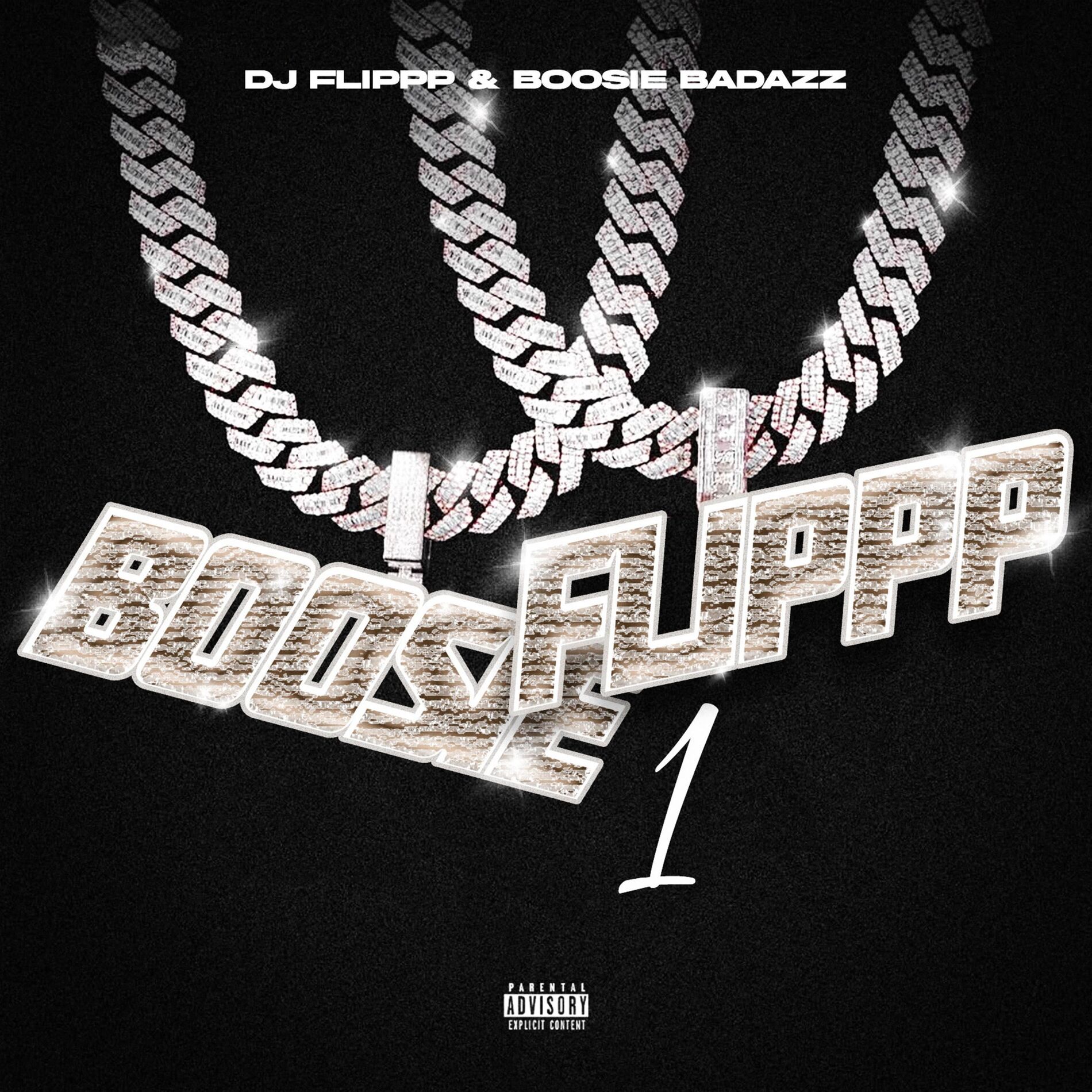 Album cover of BoosieFlippp 1