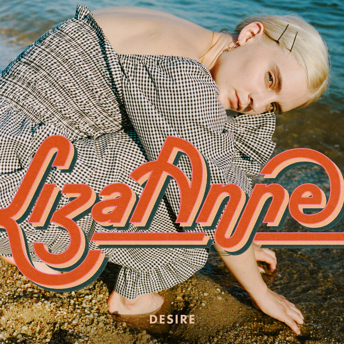 Album cover of Desire