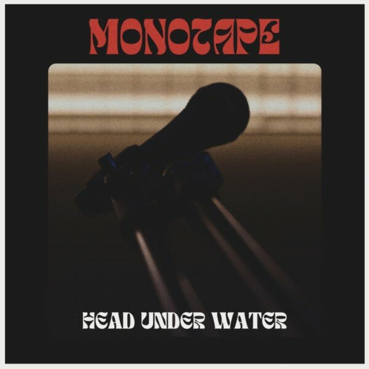 Album cover of Head Under Water