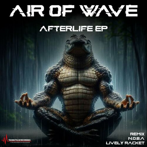  Air of Wave - AFTERLIFE (2024) 