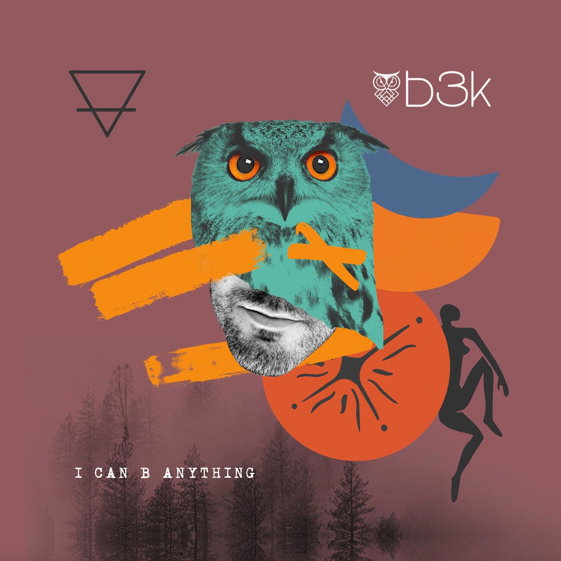 Album cover of I Can B Anything