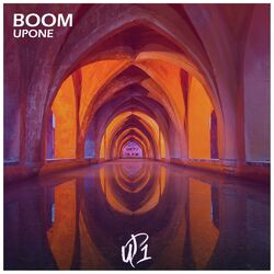 Cover of Boom