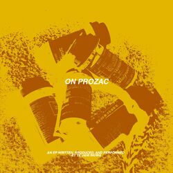 Cover of ON PROZAC