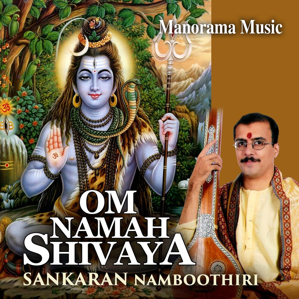 Picture of OM Nama Shivaya