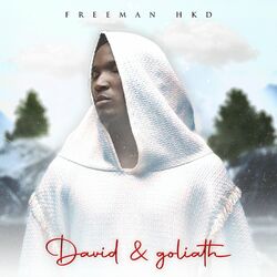 Cover of David & goliath