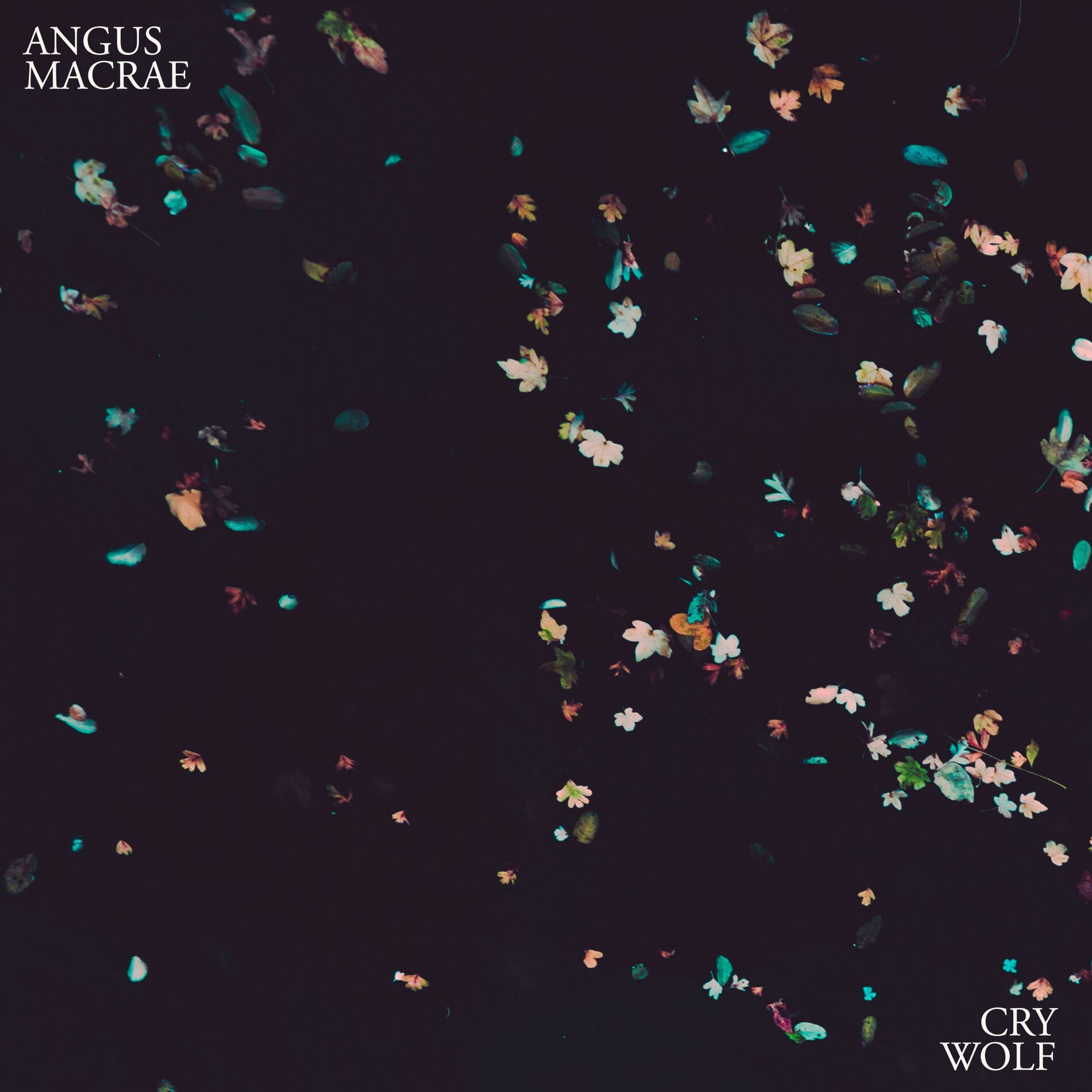 Album cover of Mirror Lake