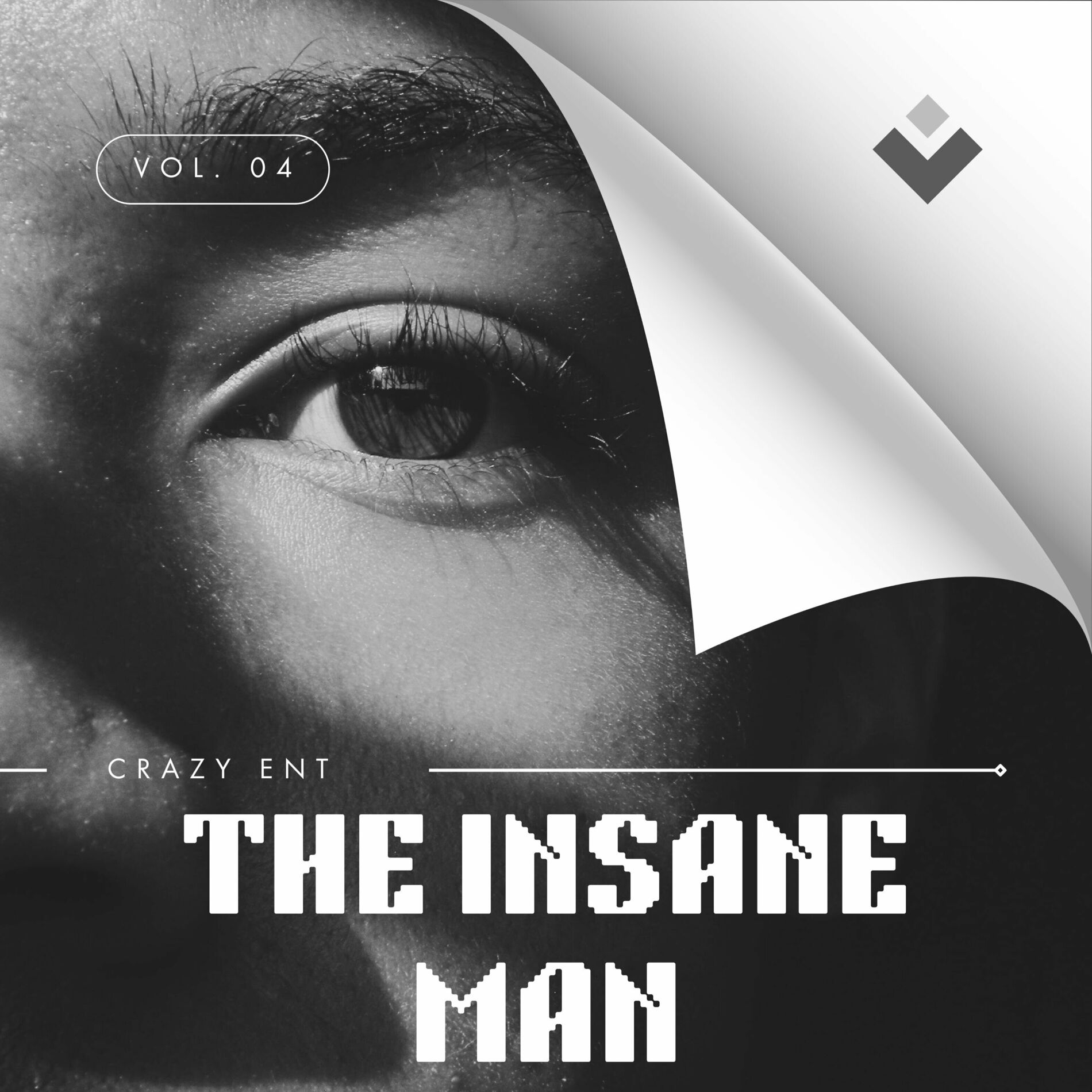 Album cover of The Insane Man