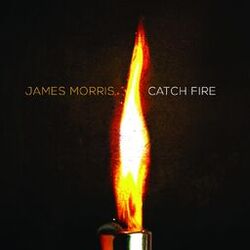 Cover of Catch Fire