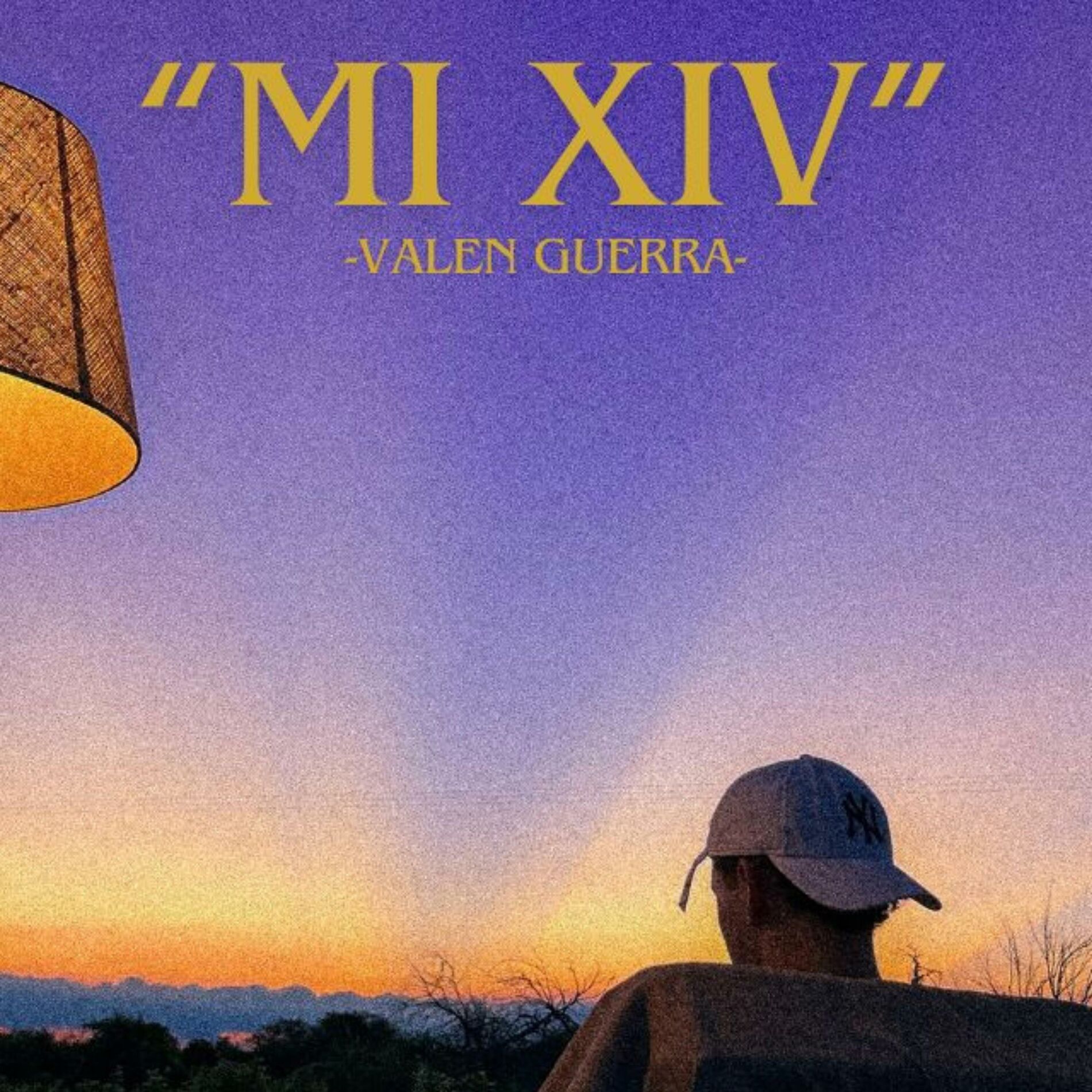 Album cover of Mi XIV