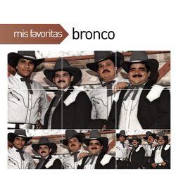 Cover of Mis Favoritas