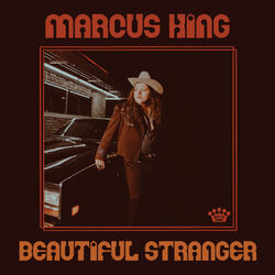 Cover of Beautiful Stranger