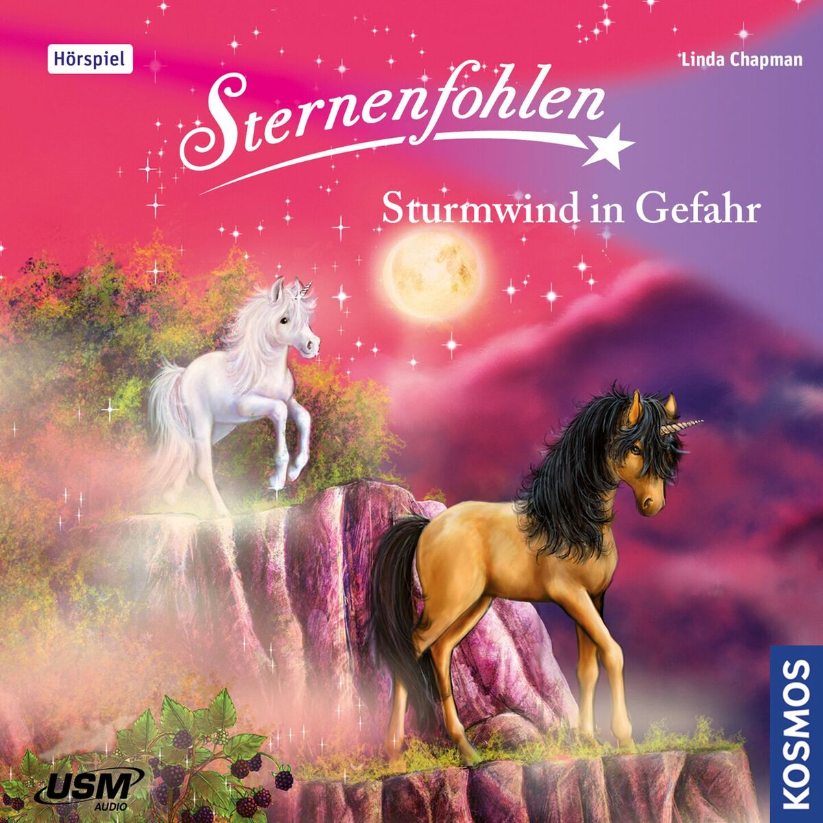 Album cover of Kapitel 1 - Teil 15: Sturmwind in Gefahr