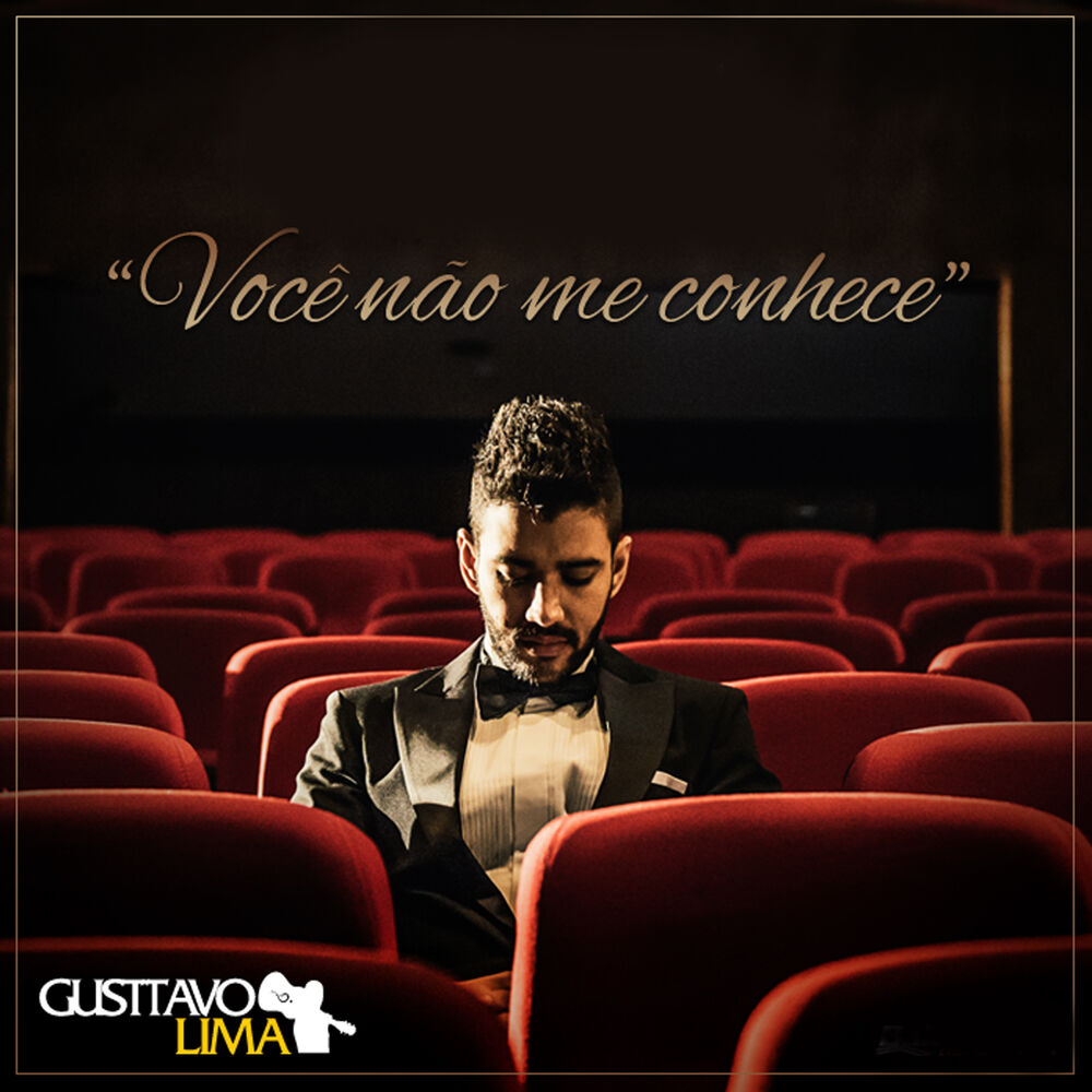 Picture of Você Não Me Conhece - Single