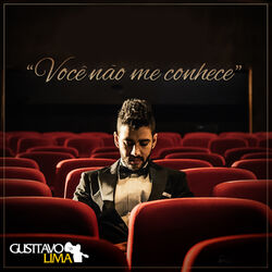 Cover of Você Não Me Conhece - Single